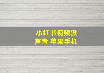 小红书视频没声音 苹果手机